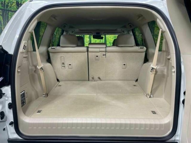 LAND CRUISER PRADO-10
