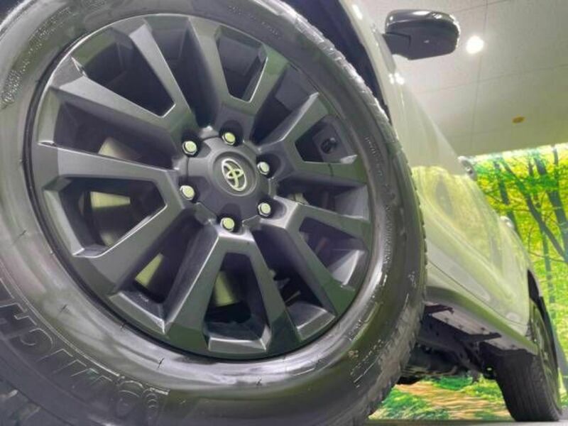 LAND CRUISER PRADO-13