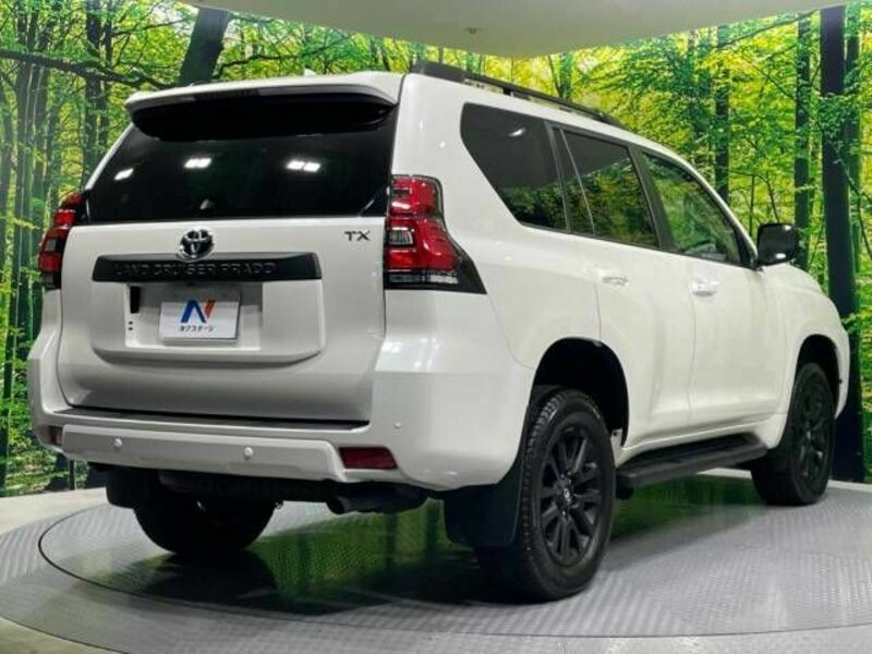 LAND CRUISER PRADO-17