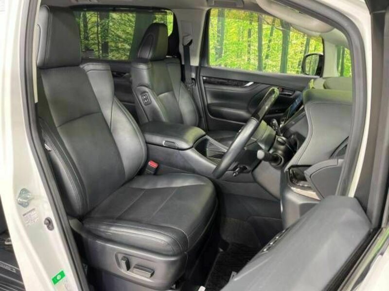 ALPHARD-13