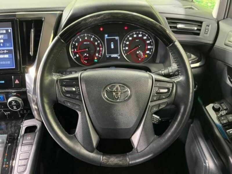 ALPHARD-17