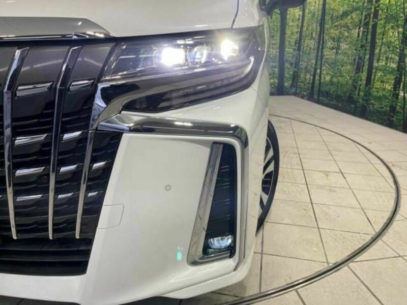 ALPHARD-18