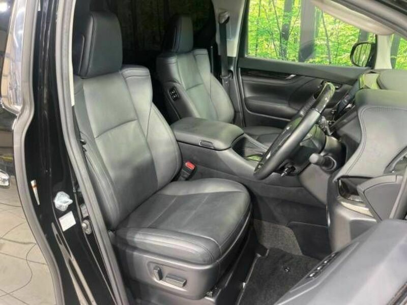 ALPHARD-14
