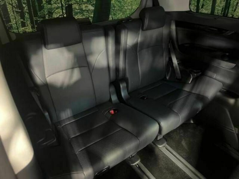 ALPHARD-16