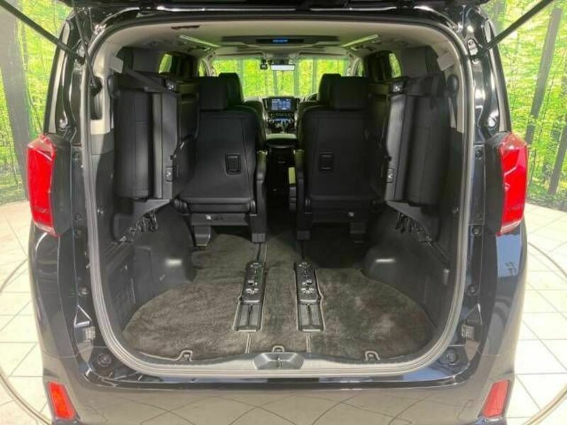 ALPHARD-17