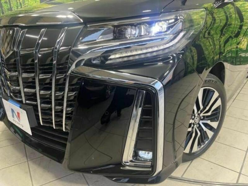ALPHARD-19