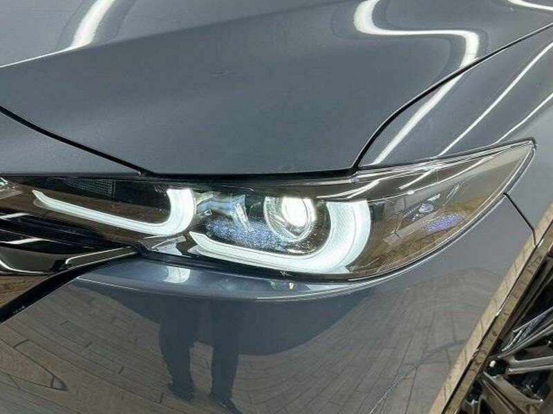 CX-5-19