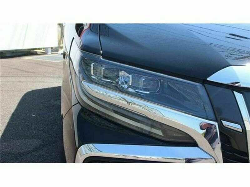 ALPHARD-10