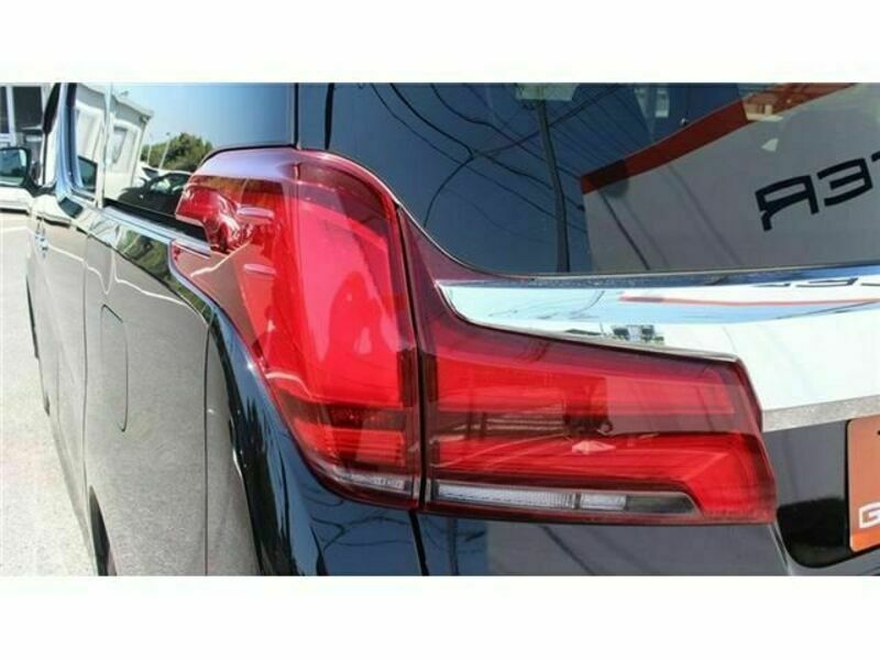 ALPHARD-11