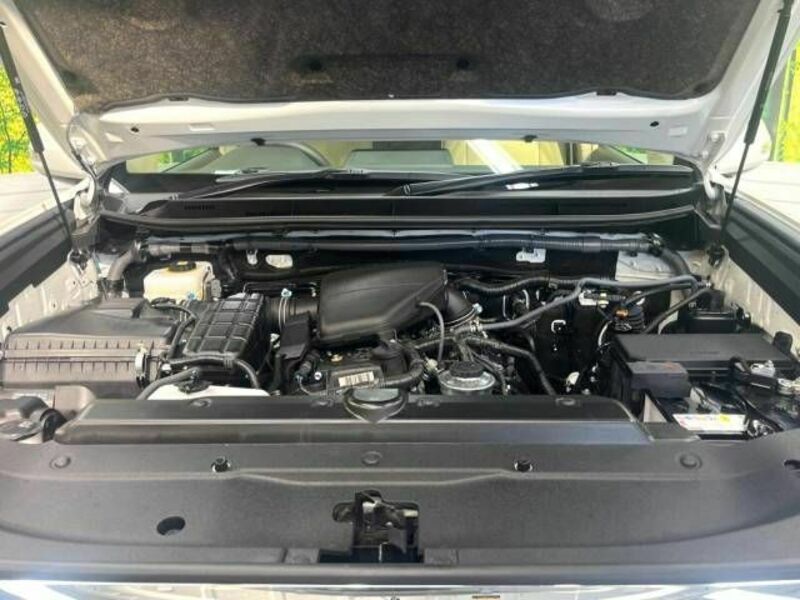 LAND CRUISER PRADO-18