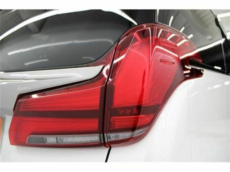 ALPHARD-10