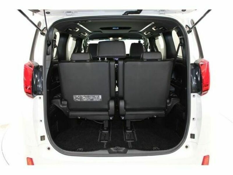 ALPHARD-16