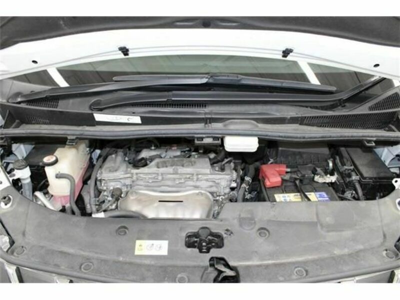 ALPHARD-17