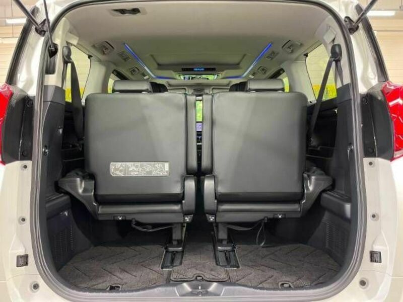 ALPHARD-10