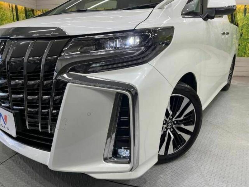 ALPHARD-12