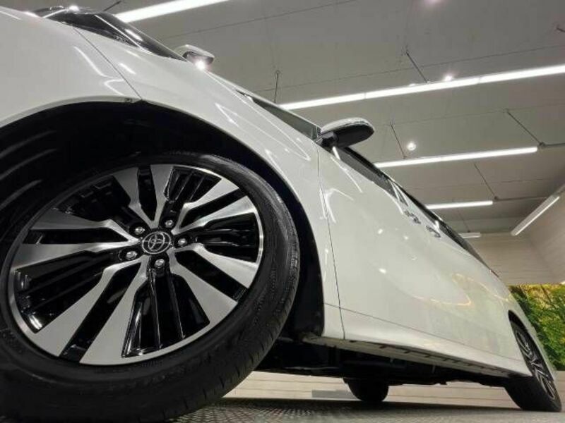 ALPHARD-13
