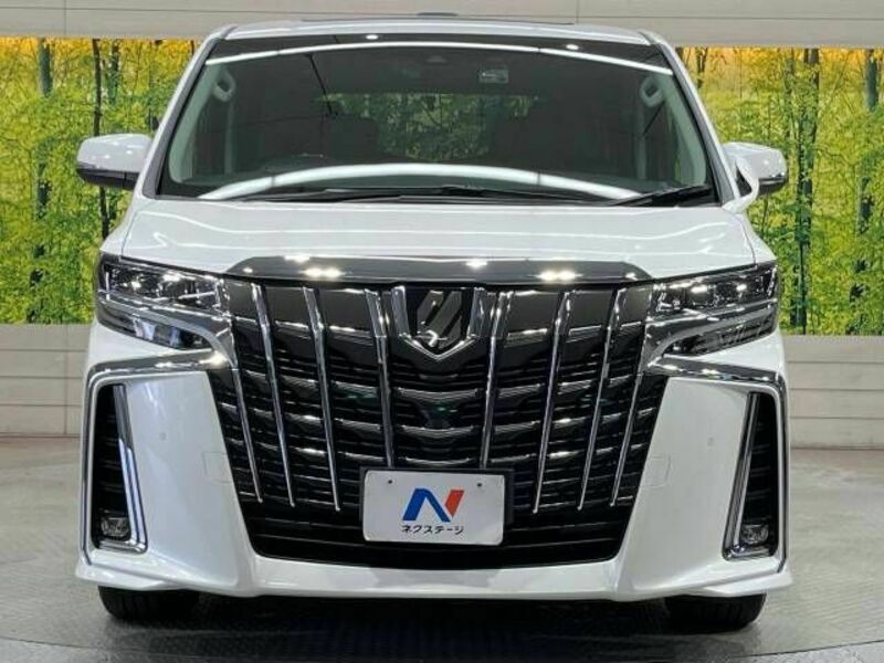 ALPHARD-14