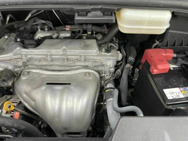 ALPHARD-17