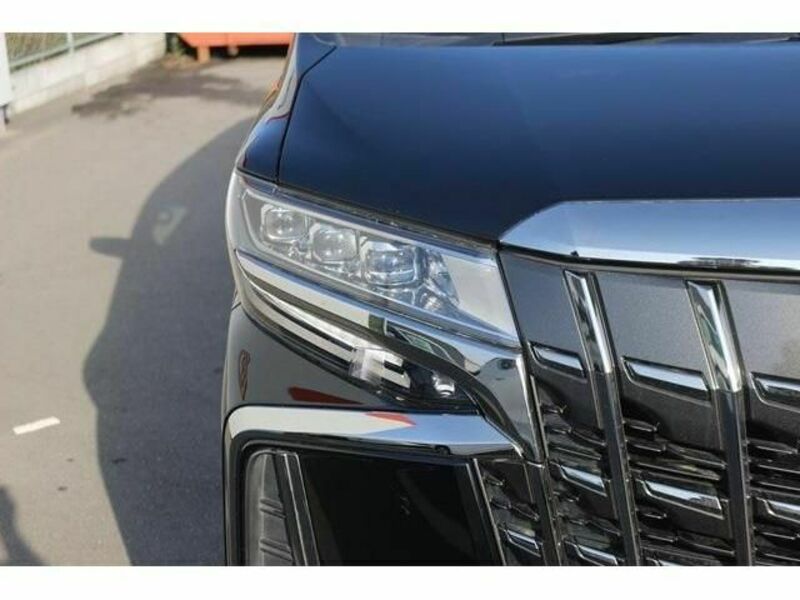 ALPHARD-10