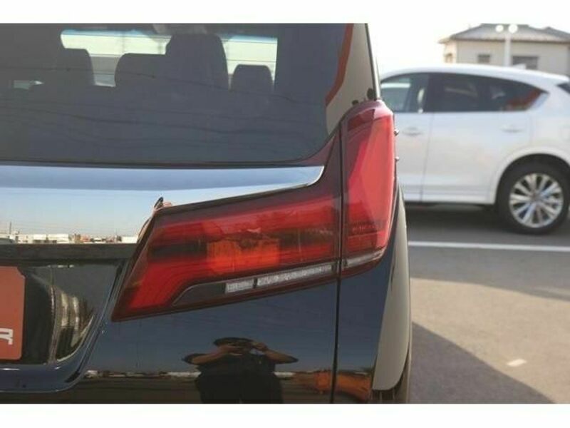 ALPHARD-11