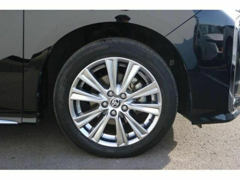 ALPHARD-12