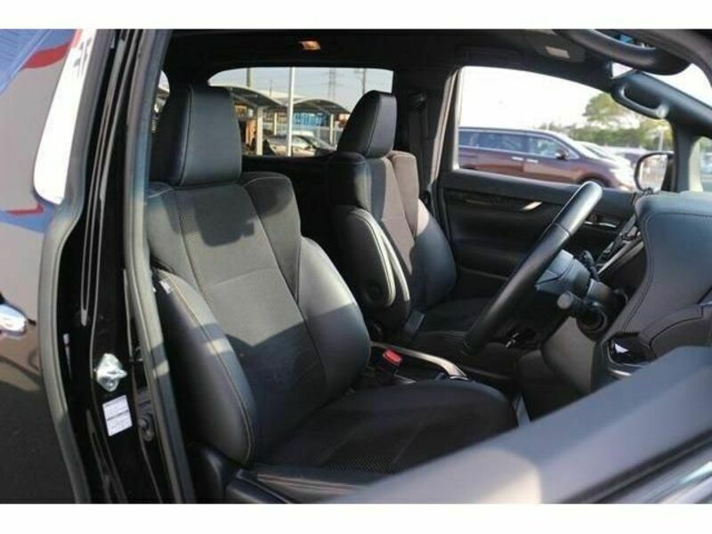 ALPHARD-13