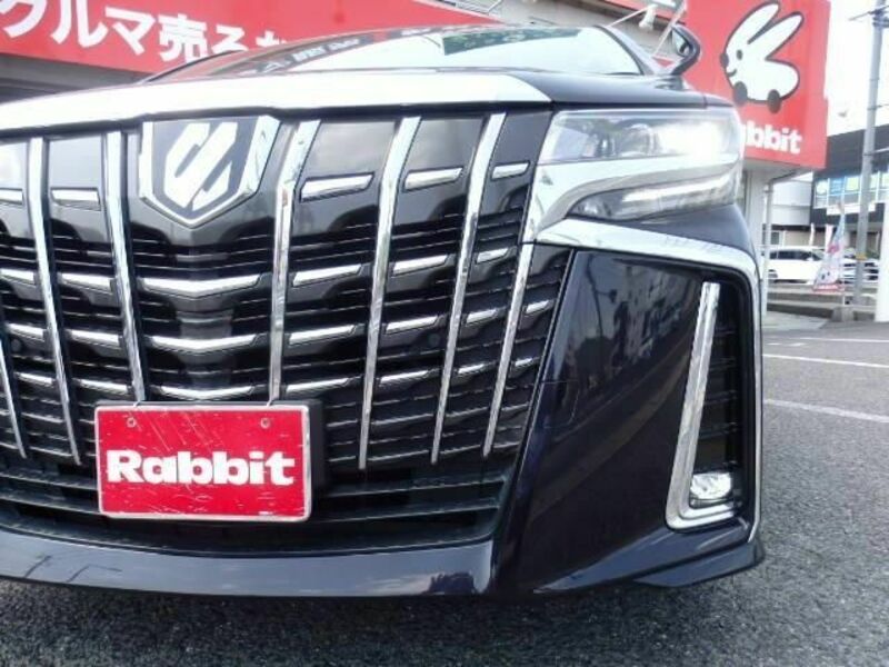 ALPHARD-10