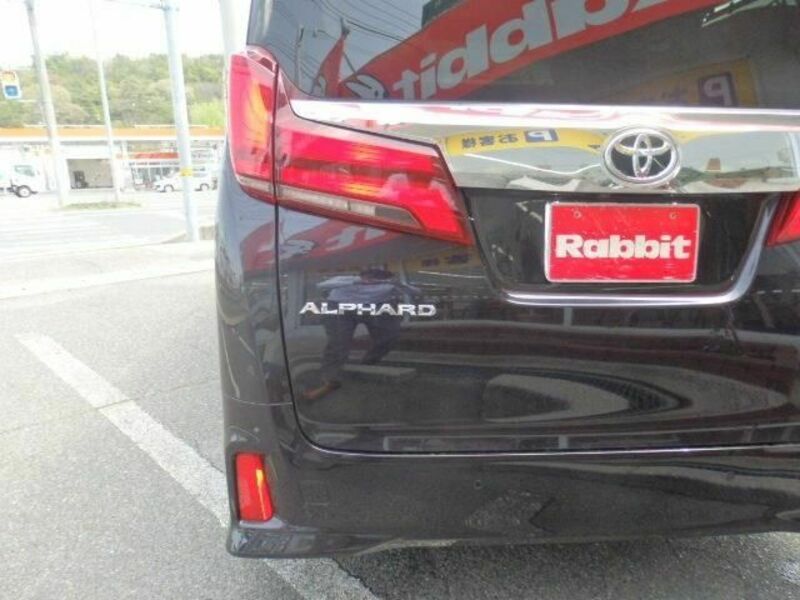 ALPHARD-12
