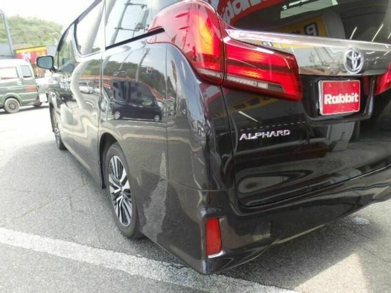 ALPHARD-13