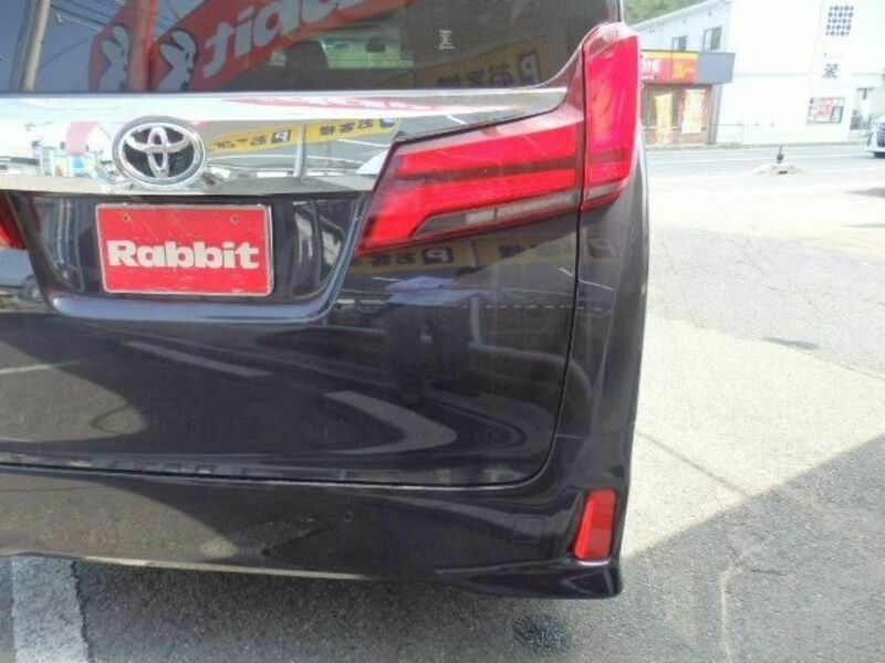 ALPHARD-14