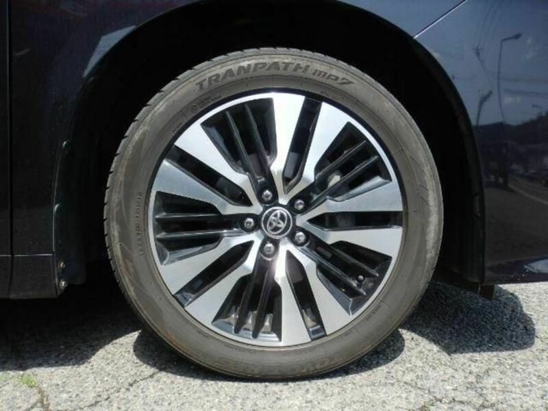 ALPHARD-16