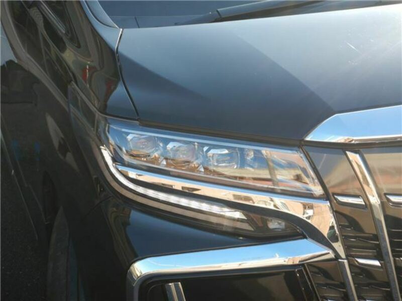 ALPHARD-10