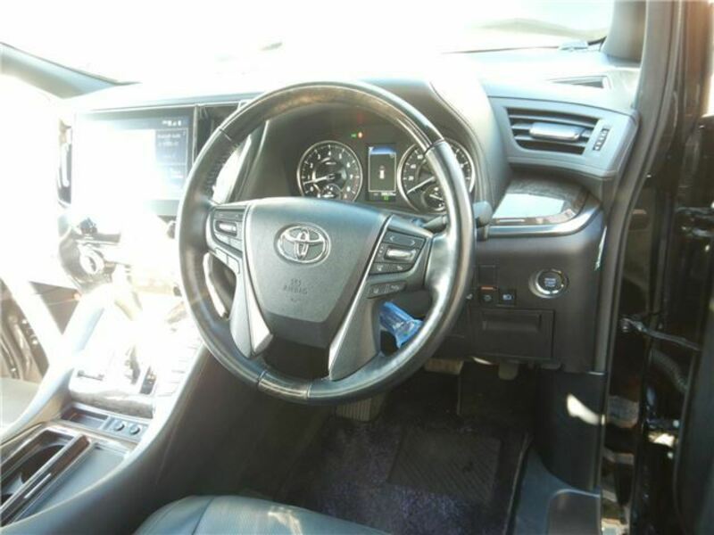 ALPHARD-12
