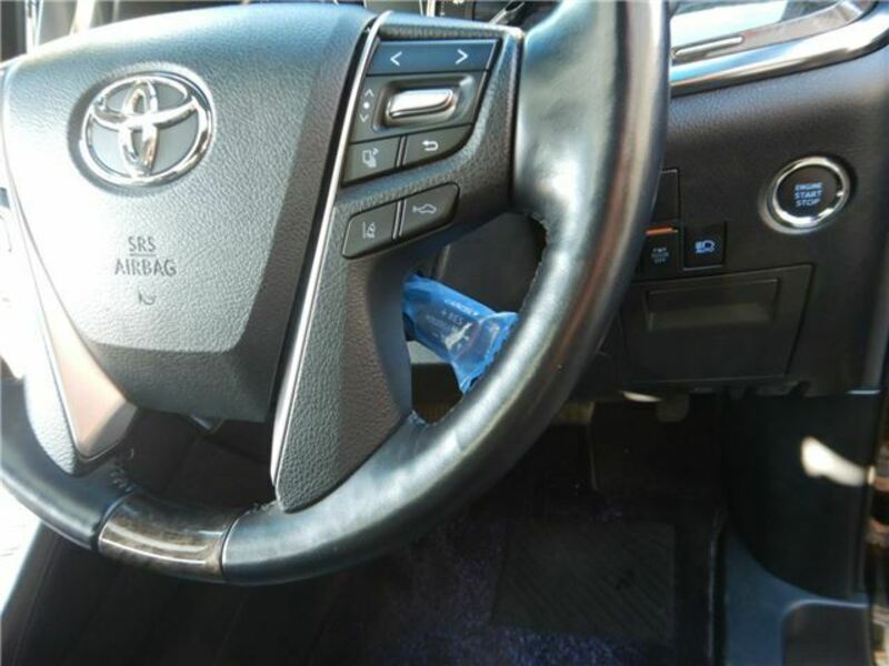 ALPHARD-13
