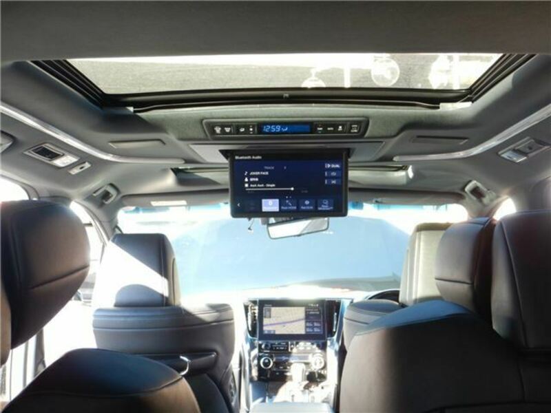 ALPHARD-31