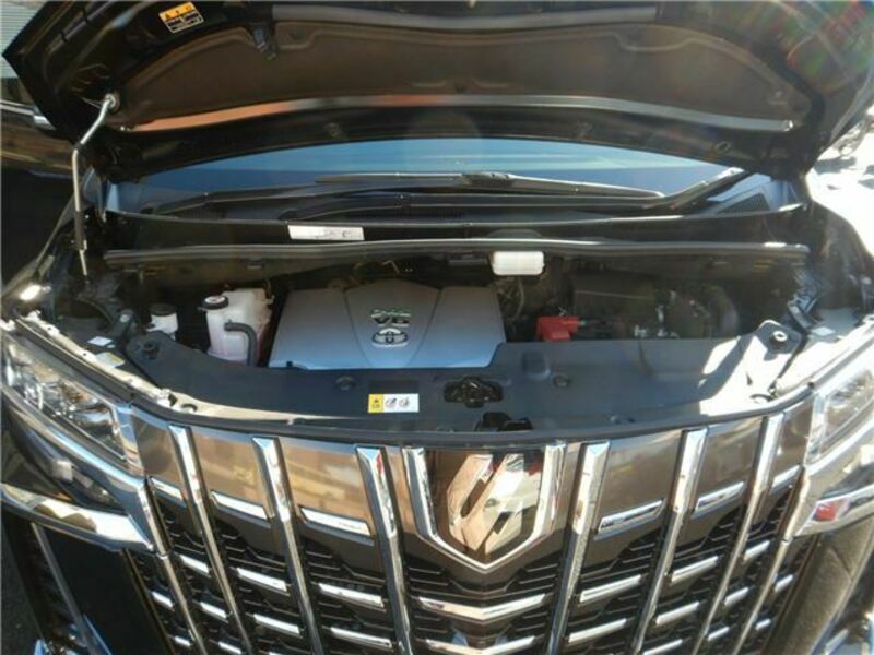 ALPHARD-35