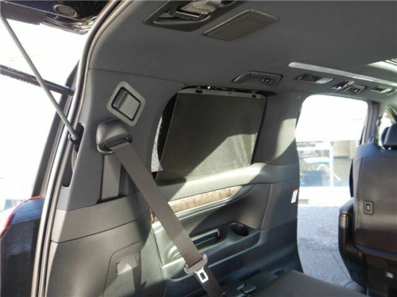 ALPHARD-38