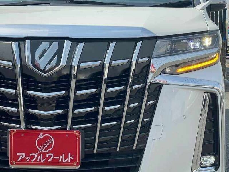 ALPHARD-8