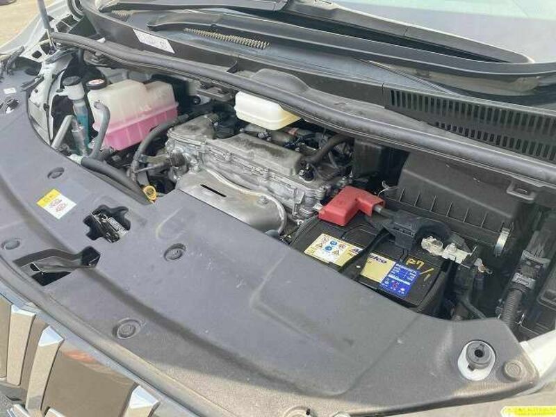 ALPHARD-17