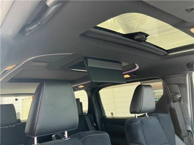 ALPHARD-26