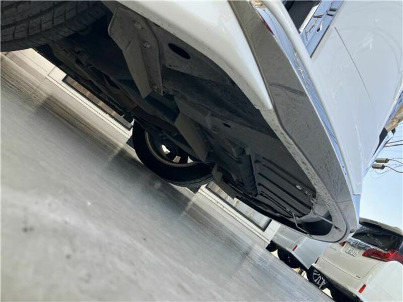 ALPHARD-36
