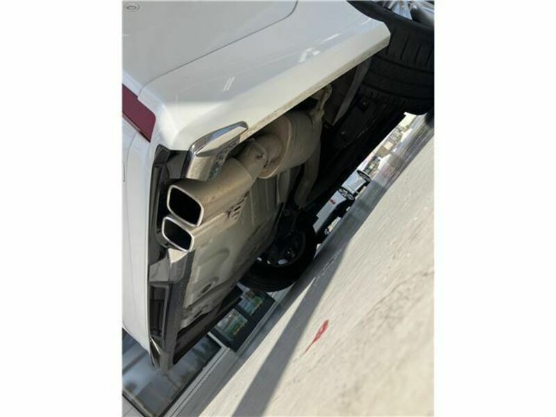 ALPHARD-38