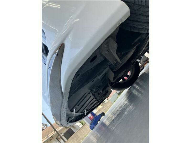 ALPHARD-41
