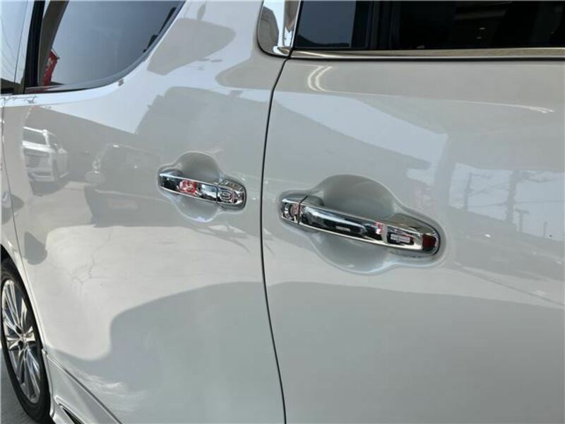 ALPHARD-43