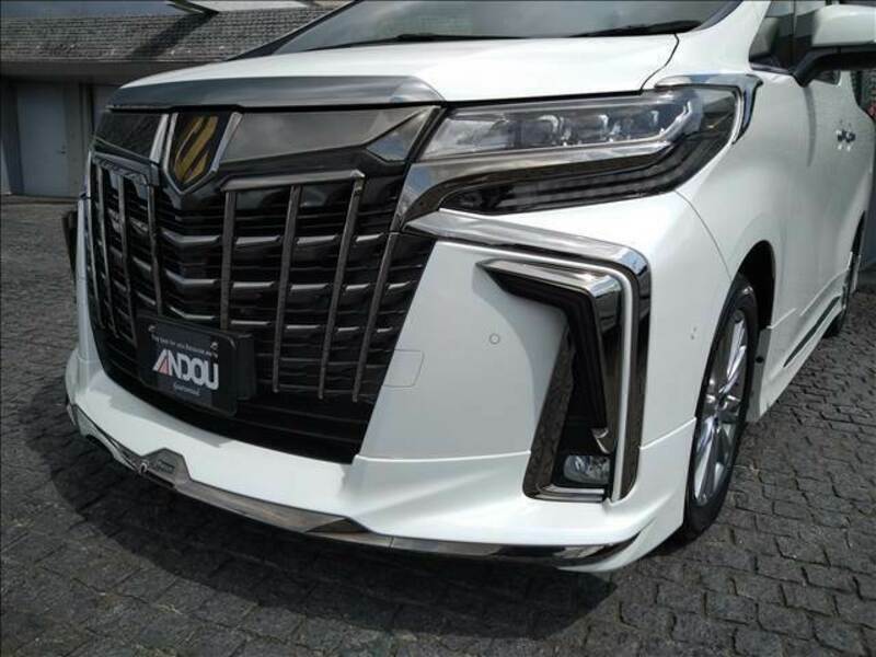 ALPHARD-7