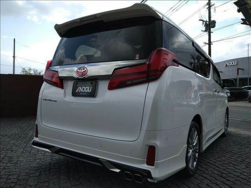 ALPHARD-8