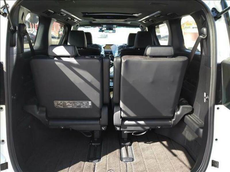 ALPHARD-18