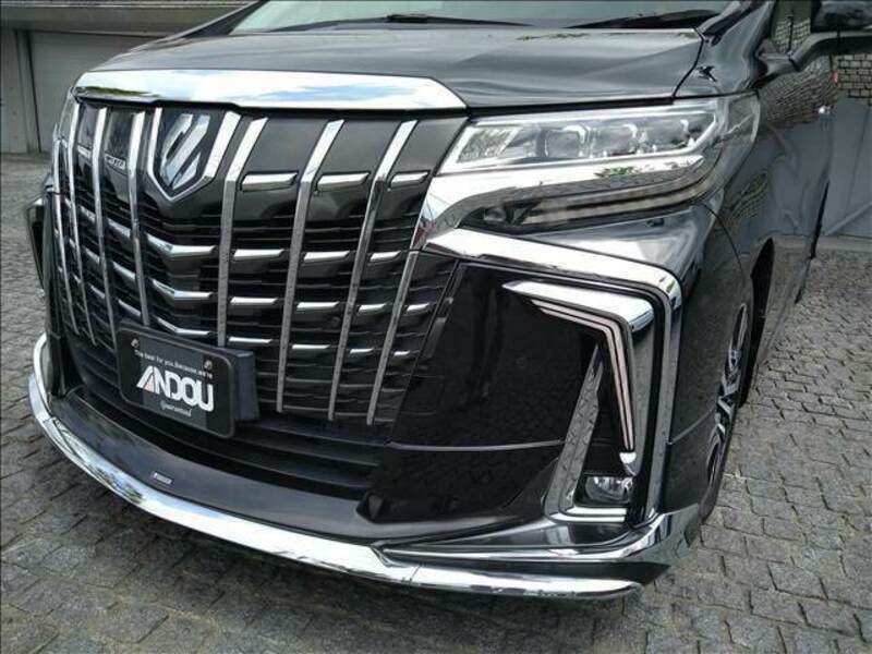 ALPHARD-7