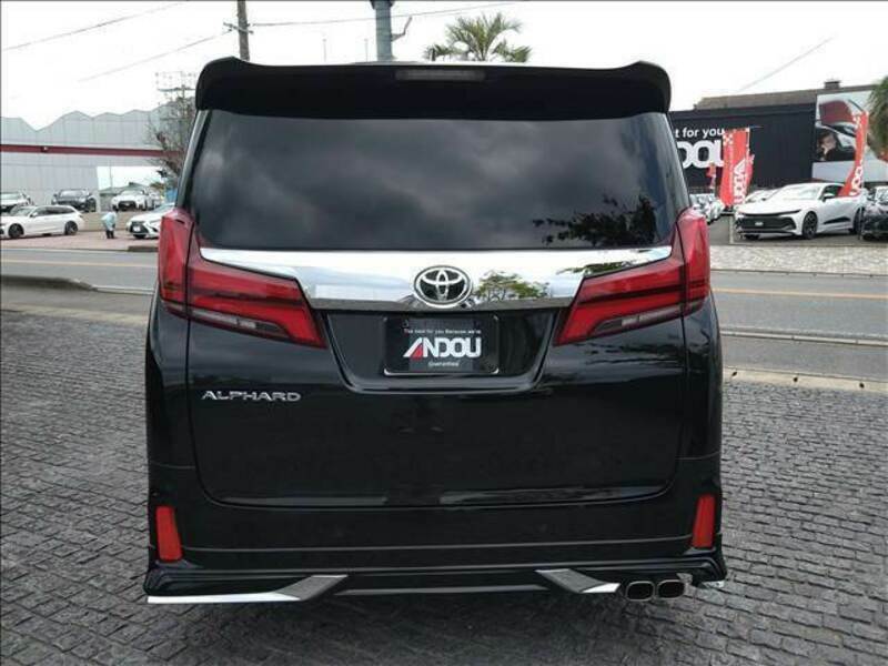 ALPHARD-8