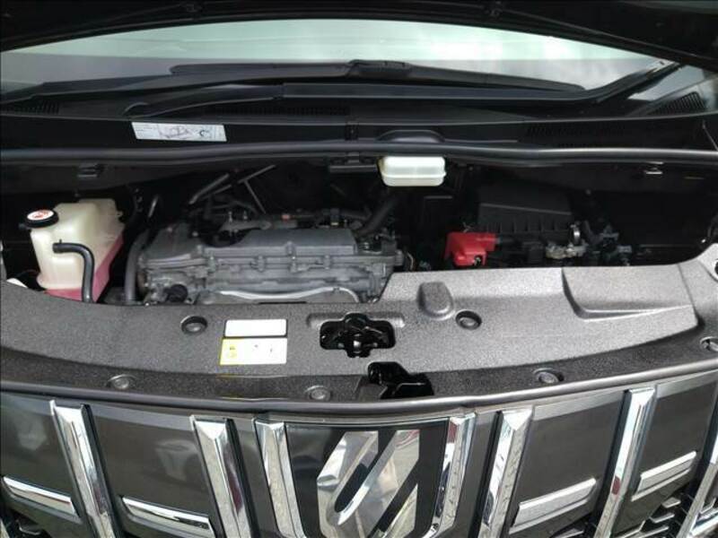 ALPHARD-19